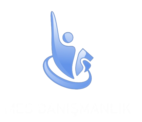 MES Danışmanlık